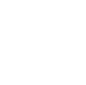 logo light